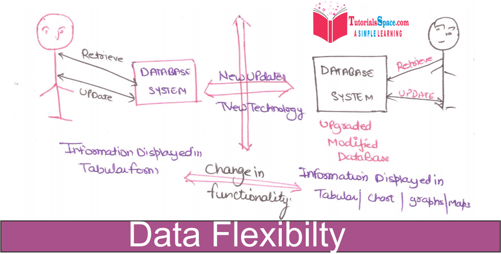 data flexibilty